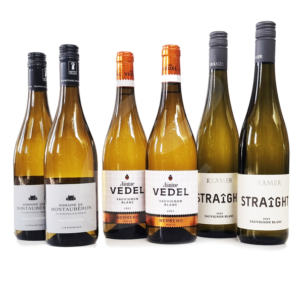 6 flessen Sauvignon Blanc