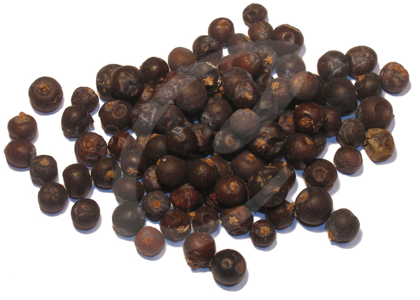 jeneverbes