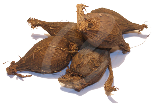 Kororima Peulen