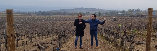 Interview Zigor Cornago van Bodegas Perica in Rioja Spanje