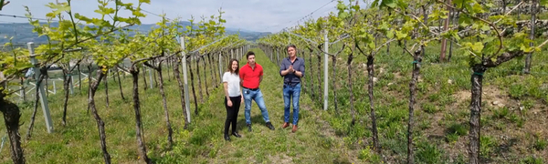Valpolicella DOC Classico Superiore "Campomasua"
