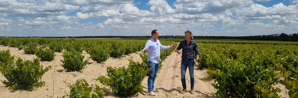 Bodega Herrero uit Rueda in Spanje aflevering 1