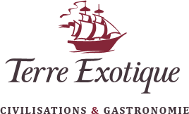 logo terre exotique
